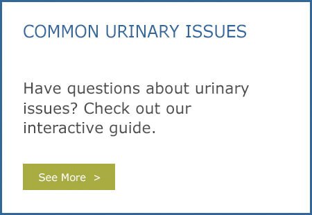 common urinary issues graphic