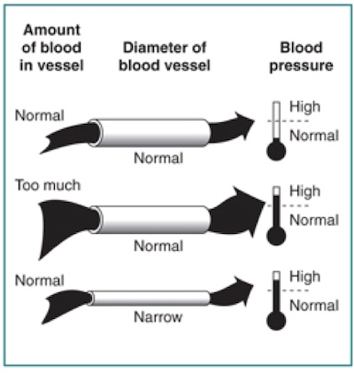 How High Blood Pressure Affects Your Kidneys Kidney Month