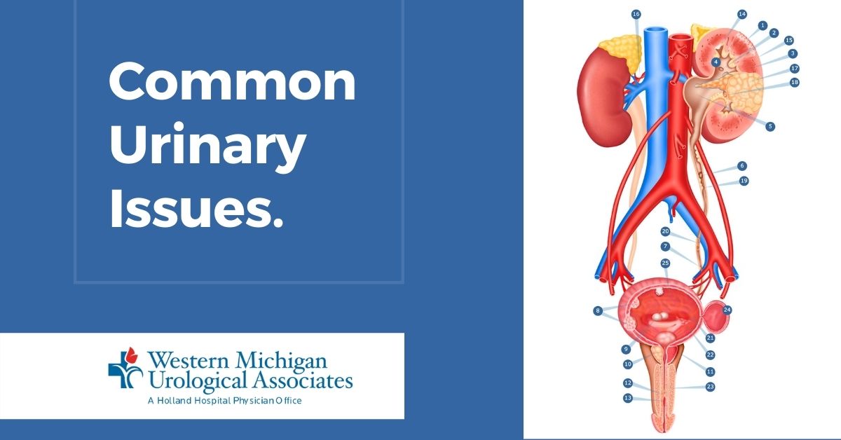 common-urinary-issues-western-michigan-urological-associates